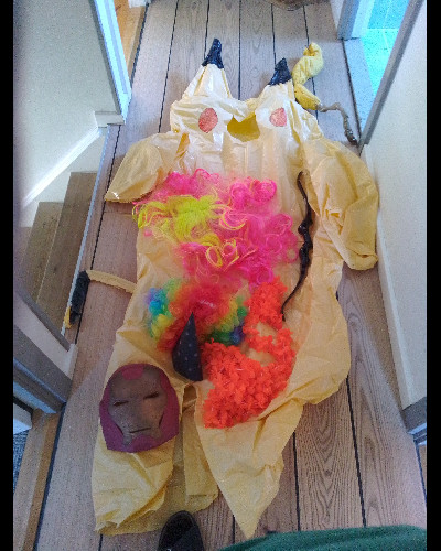 Pikachukostume, Hawaii kranse m.m